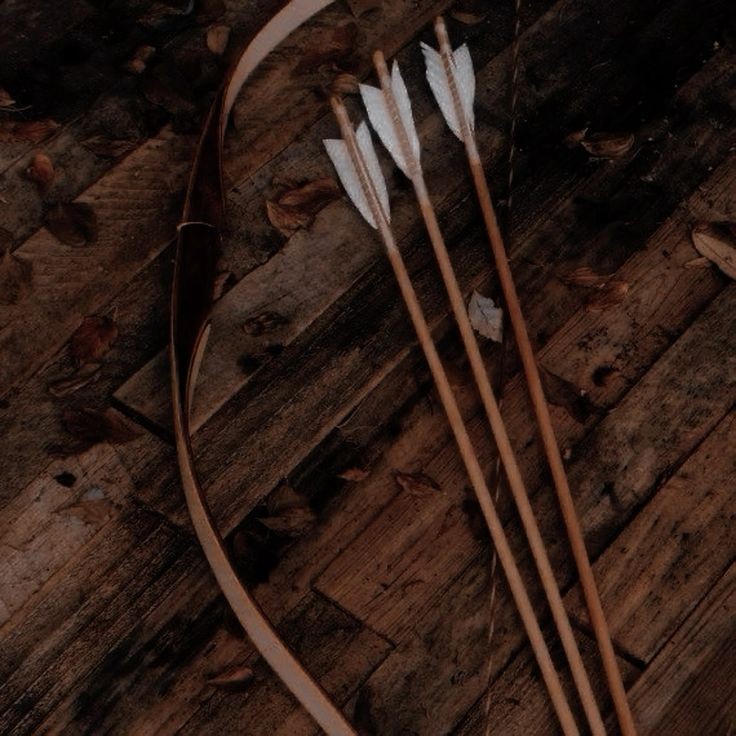 Archery hobby